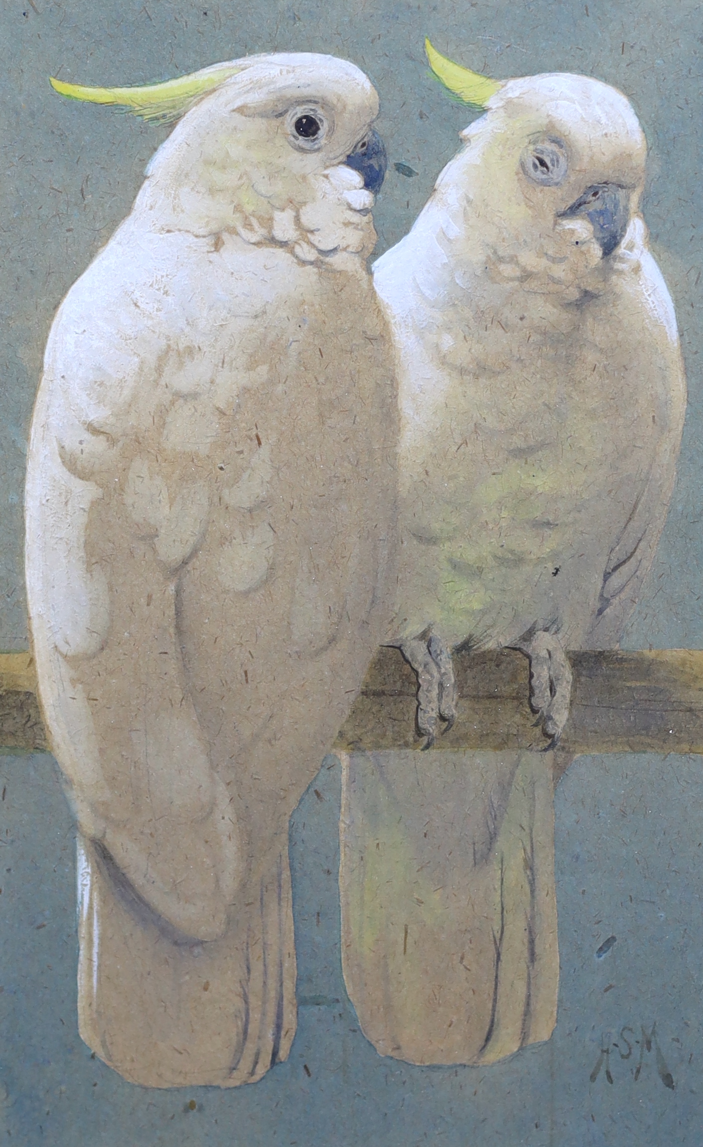 Henry Stacy Marks R.A., (British, 1829-1898), Two cockatoos, watercolour, 24 x 15cm